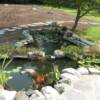 Water Garden